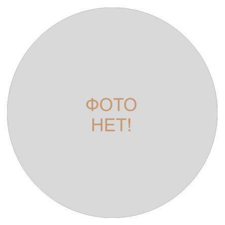 Ролик неповоротный термо резина 100 мм